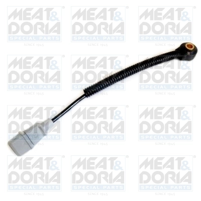 Knock Sensor